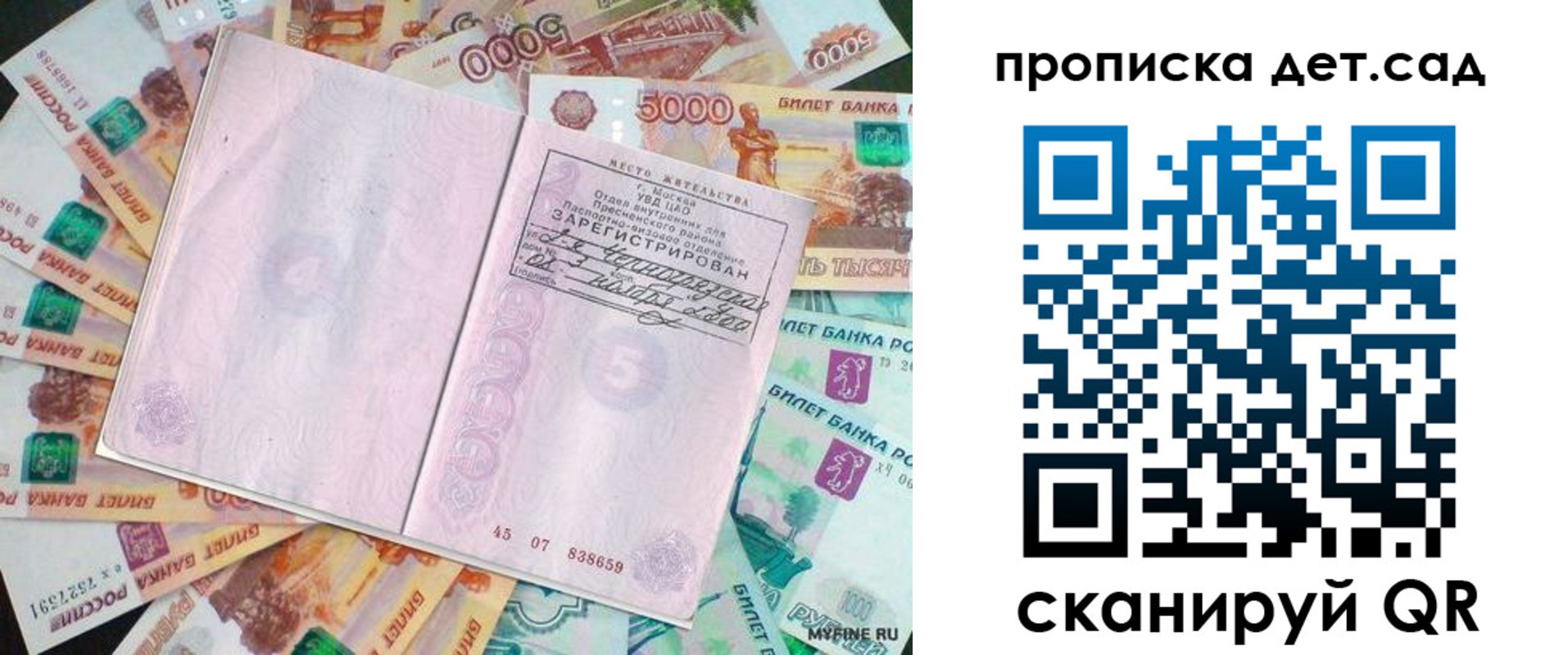 прописка поиск в Ногинске